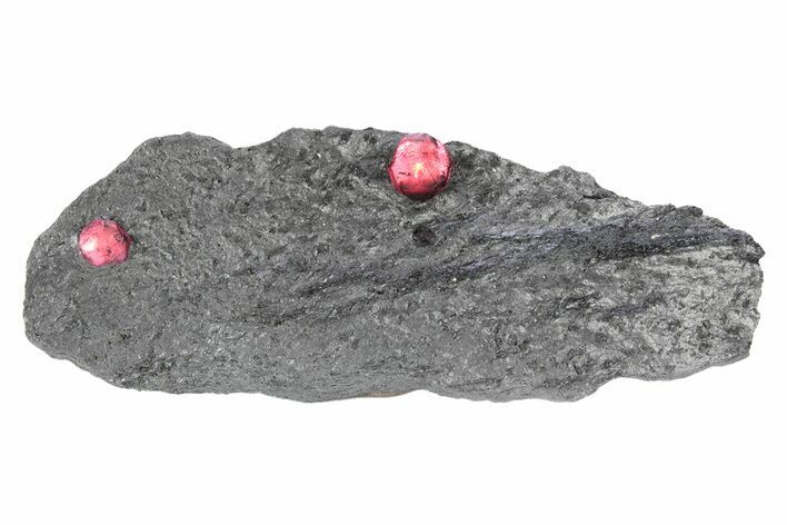 Plate of Three Red Embers Garnets in Graphite - Massachusetts #301143